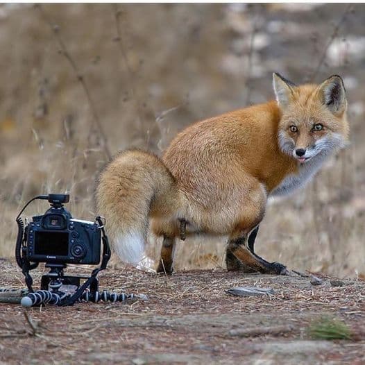 335417054_589236146583286_4892922212401584829_n