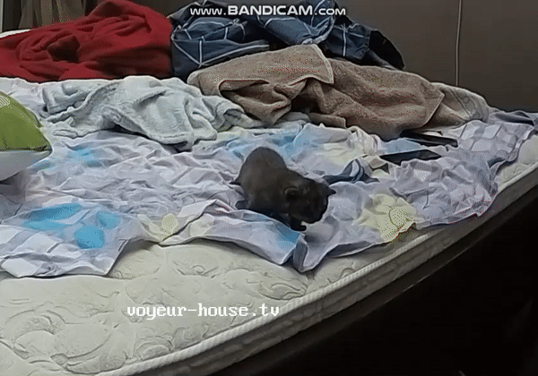 ezgif.com-gif-maker(1)