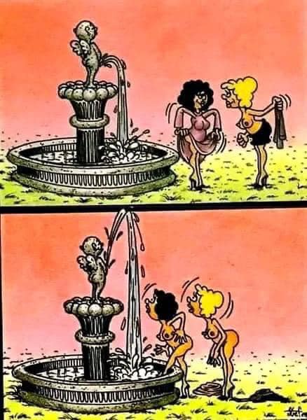 437784864_2819649951531304_7737339509825174952_n