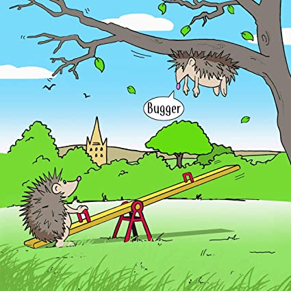 hedgehog