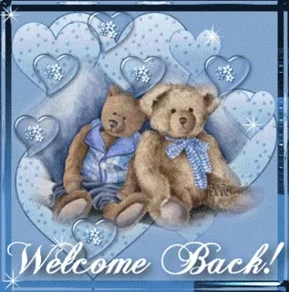 welcome-back-two-bears-sqs20upqqfackqoq