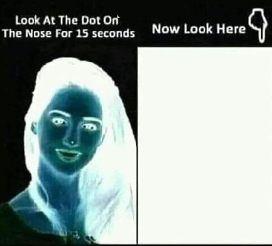363941220_769638941832969_8523117416810204927_n