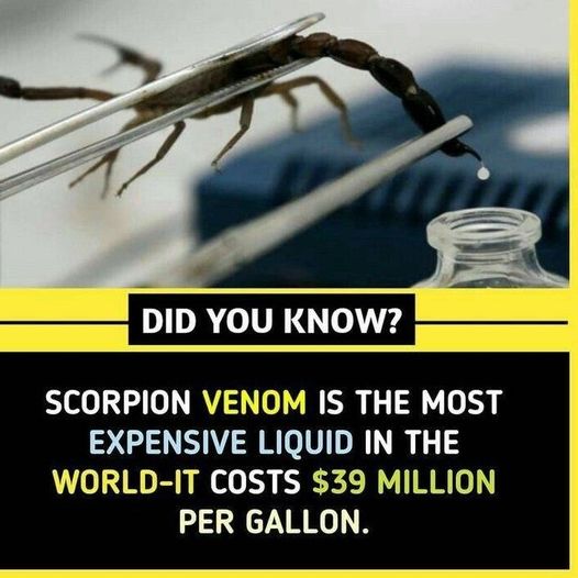 434527889_333370186419250_1753470202591660284_n