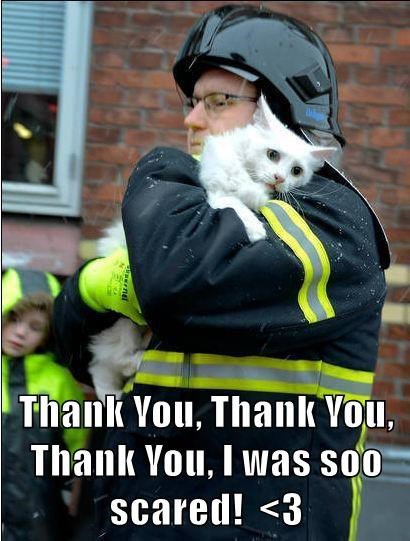 main-qimg-eec97d6d29ceaa40d3f8921d25fdaf97-lq