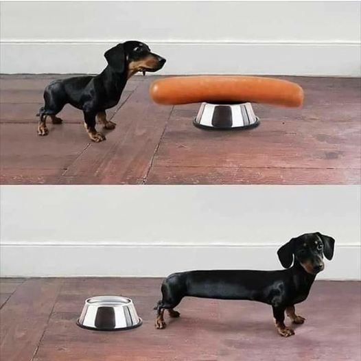 69940974_3029357287134908_4112462487641653248_n