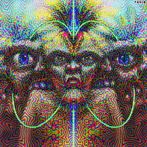 85381412
