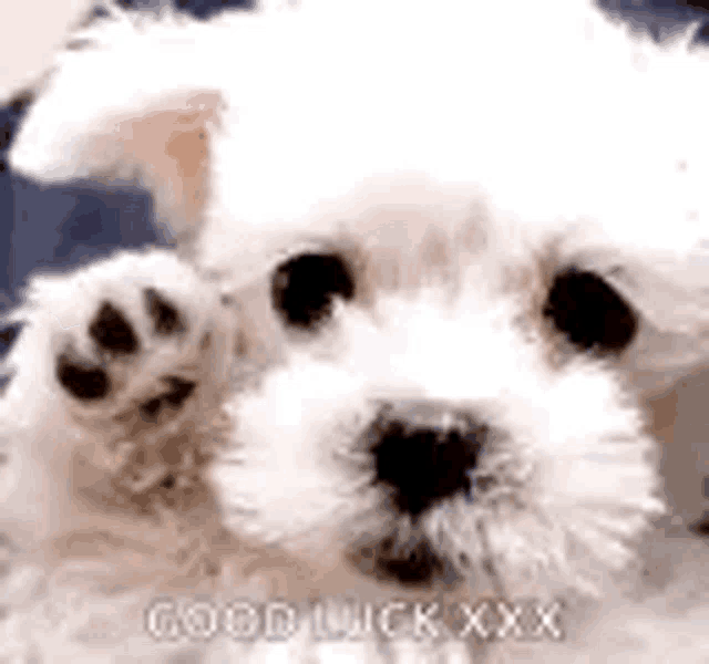 good-bye-bye