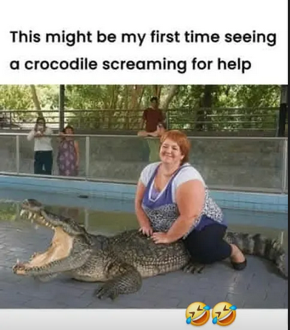 Screenshot 2025-10-05 at 12-02-53 Verhalen • Instagram