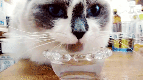 tumblr_lo7zh7Og1N1qjmniro1_500