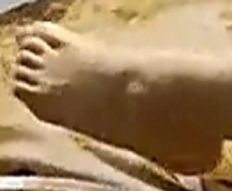 Evared foot 2