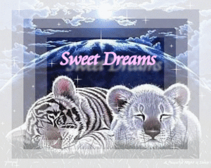 animaatjes-sweet-dreams-683744