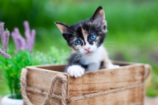 main-qimg-66a50a9c3ef6e929d44753773ebc9572