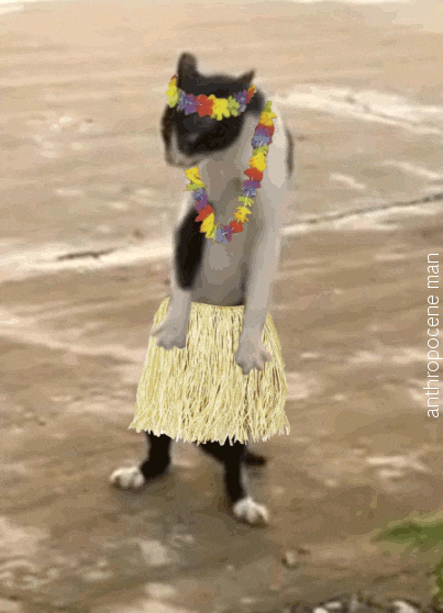 giphy (10)