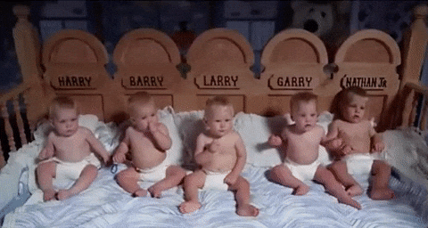 giphy (4)