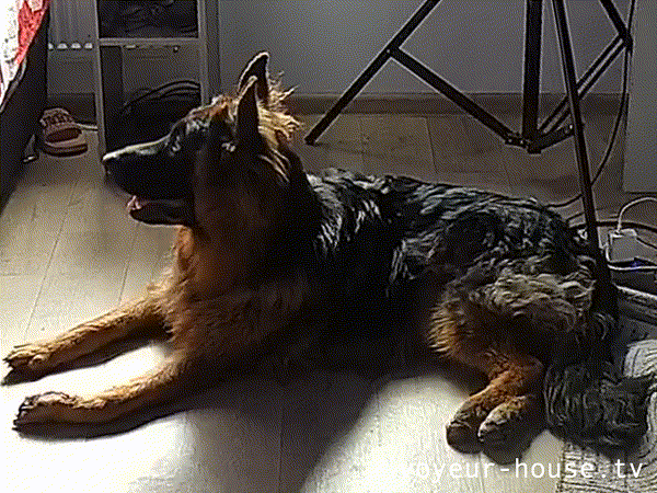 Go for a walk please