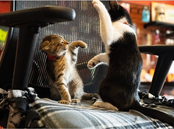 main-qimg-431e12ab4a2bda66ec11f85e2a6f2b8a