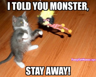 stay-away-monster-Funny-Cat-Memes-370x297