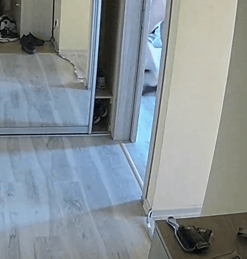 VH.tv R037 2025_08_04 1