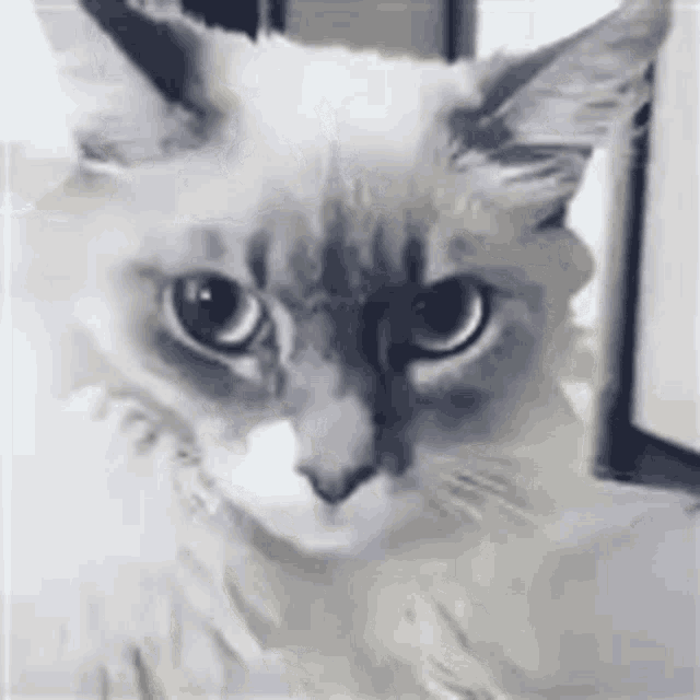 shocked-face-reaction