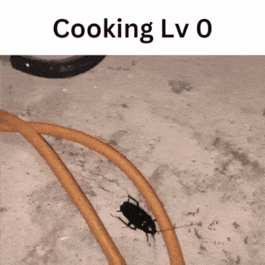 project-zomboid-cooking