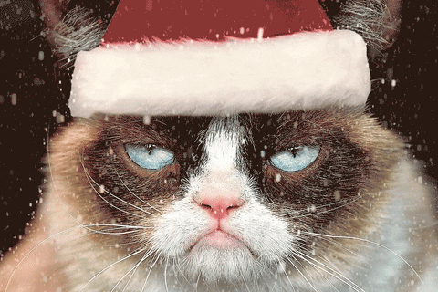 giphy (1)