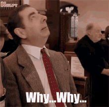 why-why-why