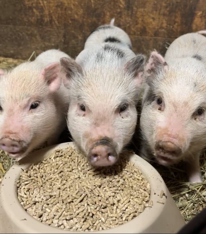 f202f245-8919-4ef4-ac17-d1893c78a2fb