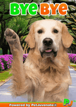 bye-bye-pj-petjuvenate-goodbye-cute-funny
