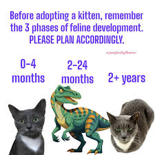 1211906858