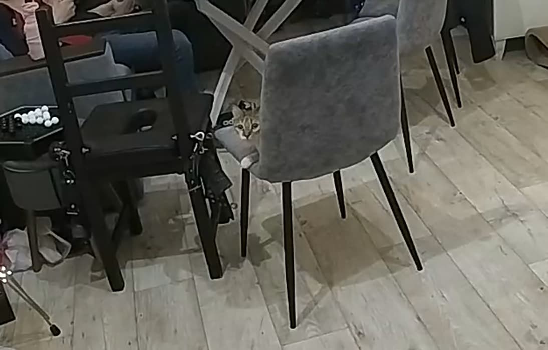 realm18-cam11-1768508070