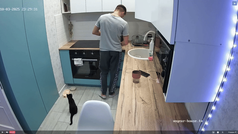 20251003_GiF_cat_run_kitchen_@_Lola