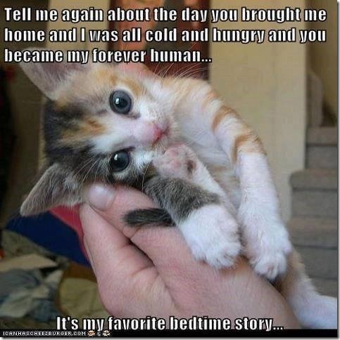 main-qimg-66467e573bcbf1da06660c9172b82be3-pjlq