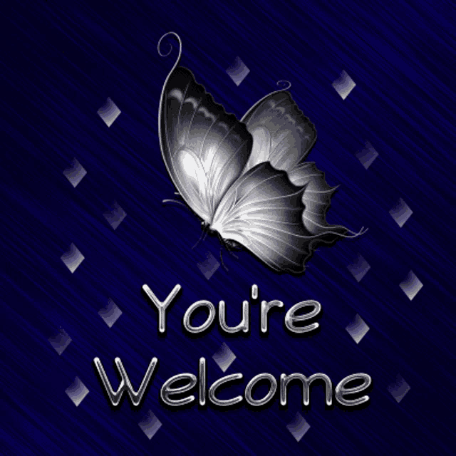 youre-welcome-butterfly