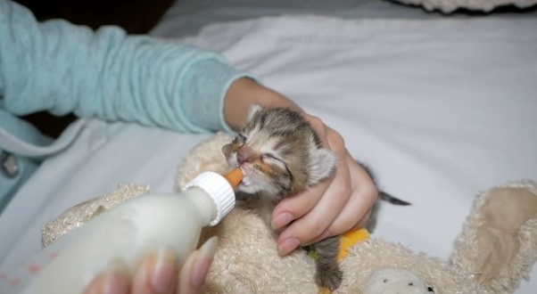 main-qimg-feb15500511a78d3a470dfe24b1ea185