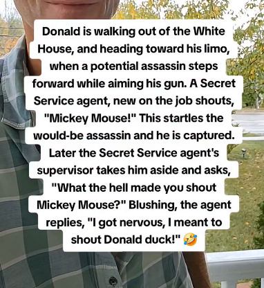 Screenshot 2025-11-07 at 15-21-23 Instagram