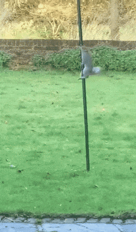 d2810fcb0d85b0ddbc4e4d72d98ded9d2687