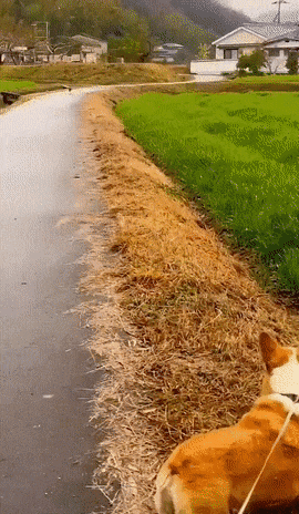 ba8596939105b9f0e7dfdc55ec3c6cb73298