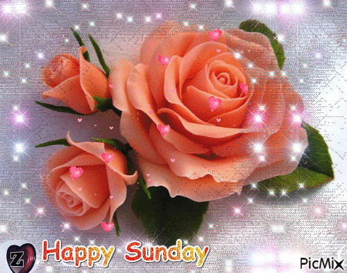 10-Wonderful-Happy-Sunday-Gifs-To-Enjoy-49286-5