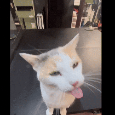 giphy