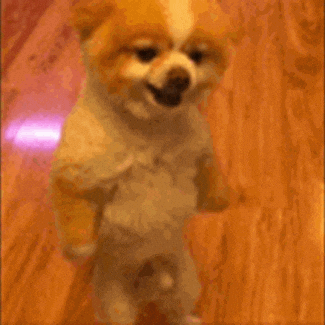 giphy