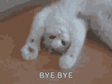 goodbye