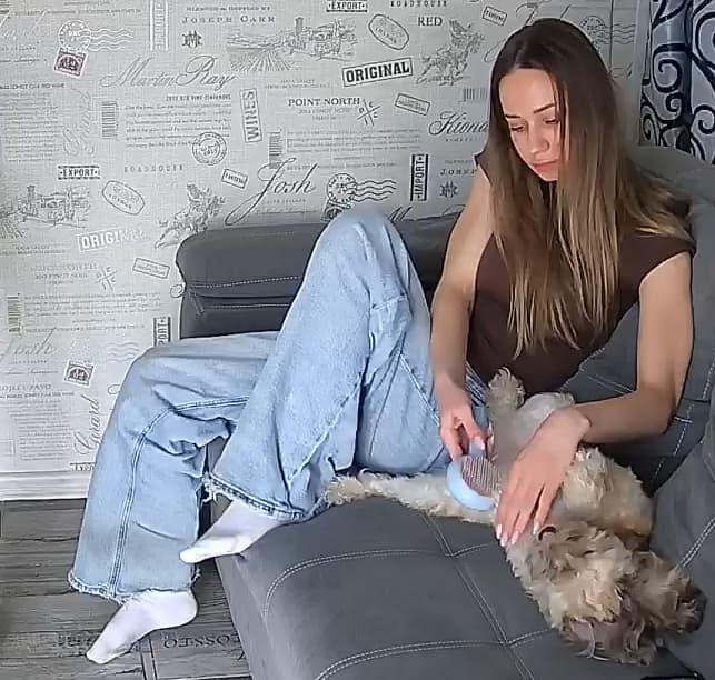 grafik