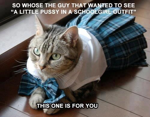 502591845_24310052331935793_2924518531380371829_n