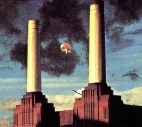 Pink-Floyd-Pig-A____ls-Cover-crop-1