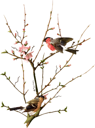 nature-love