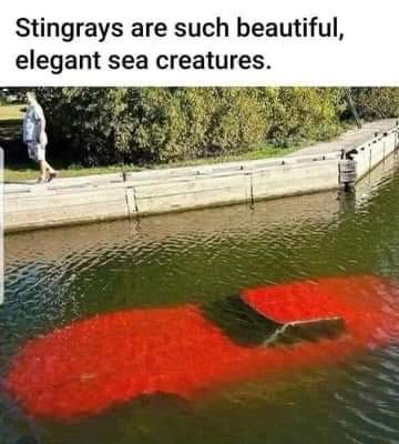 FB_IMG_1686144654622