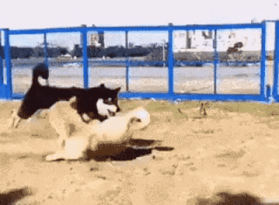 71200ef4f4baa11c301b0344e7389c1a7014