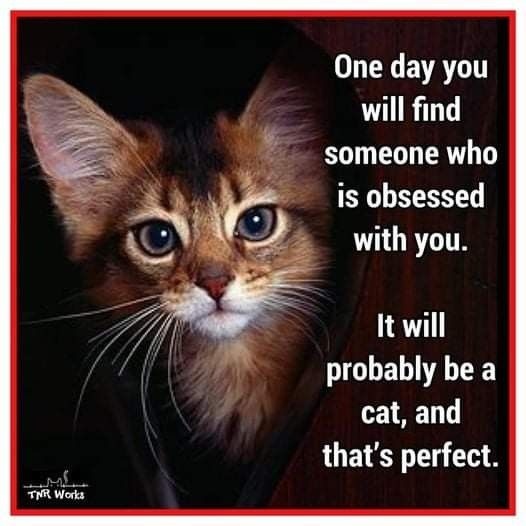 main-qimg-99d393979be1f4d8118fa0d2f691d5a3