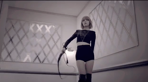 whip-discipline