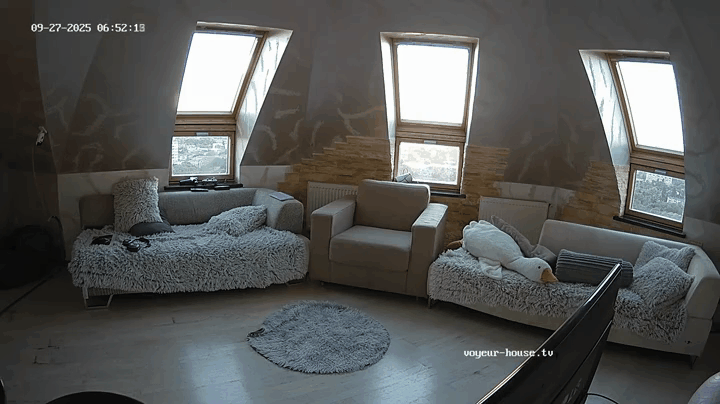 VH.tv R008 2025_09_27 Oscar&Pearl, Sonnenaufgang